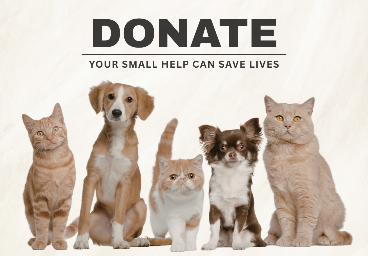 donation